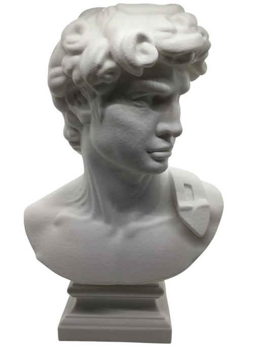 Large Michelangelo David Bust – 12” Statue – Classic Renaissance Sculpture