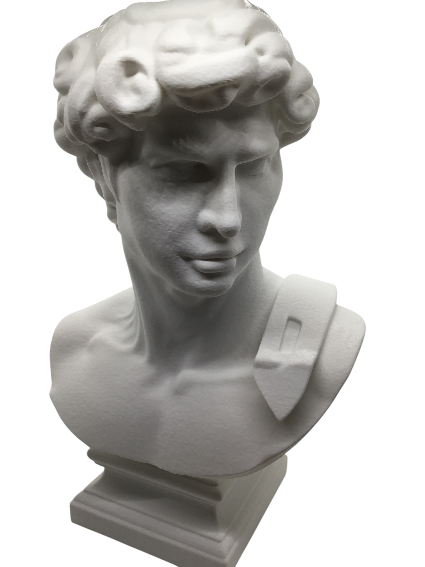 Large Michelangelo David Bust – 12” Statue – Classic Renaissance Sculpture