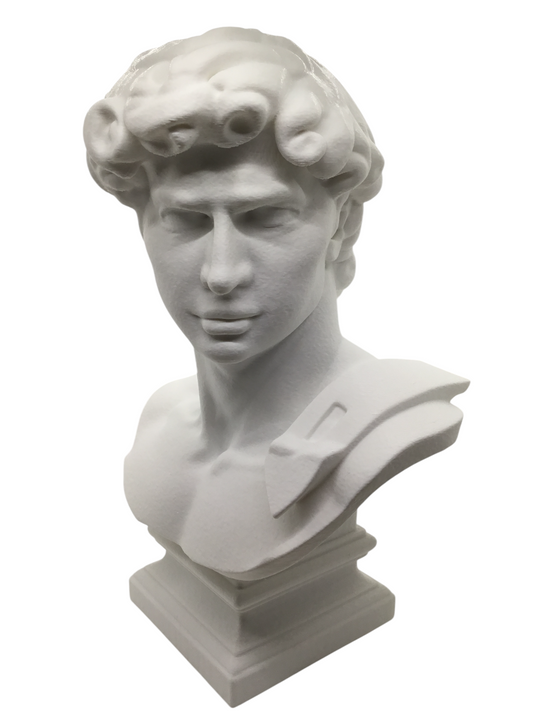 Large Michelangelo David Bust – 12” Statue – Classic Renaissance Sculpture