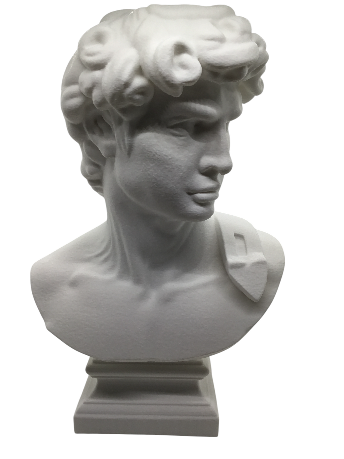 Large Michelangelo David Bust – 12” Statue – Classic Renaissance Sculpture