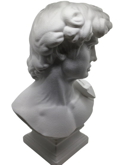 Large Michelangelo David Bust – 12” Statue – Classic Renaissance Sculpture