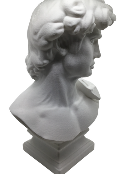 Large Michelangelo David Bust – 12” Statue – Classic Renaissance Sculpture