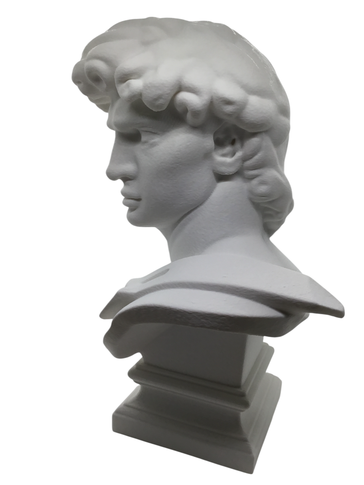 Large Michelangelo David Bust – 12” Statue – Classic Renaissance Sculpture