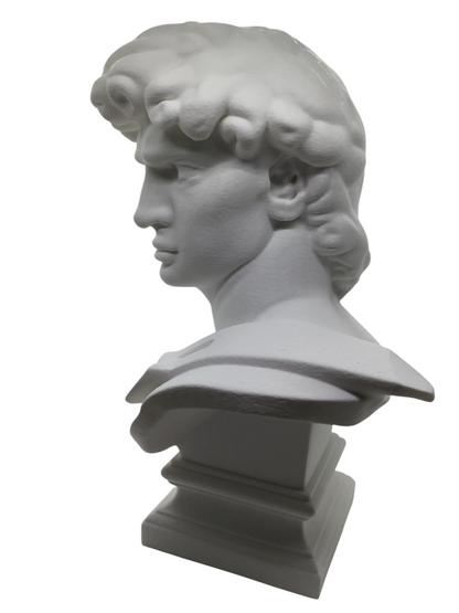 Large Michelangelo David Bust – 12” Statue – Classic Renaissance Sculpture