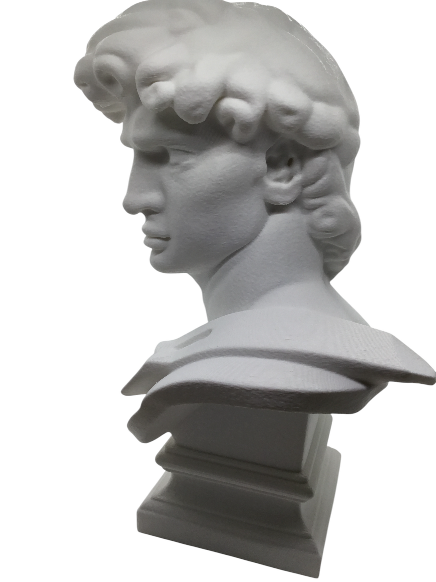 Large Michelangelo David Bust – 12” Statue – Classic Renaissance Sculpture