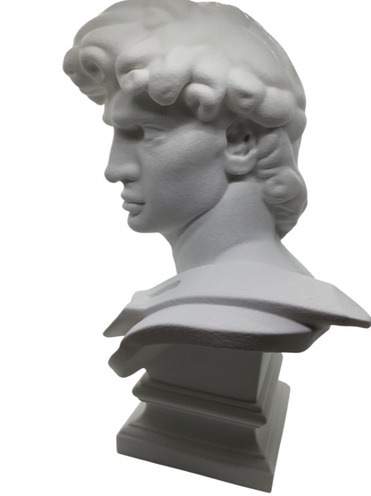 Large Michelangelo David Bust – 12” Statue – Classic Renaissance Sculpture