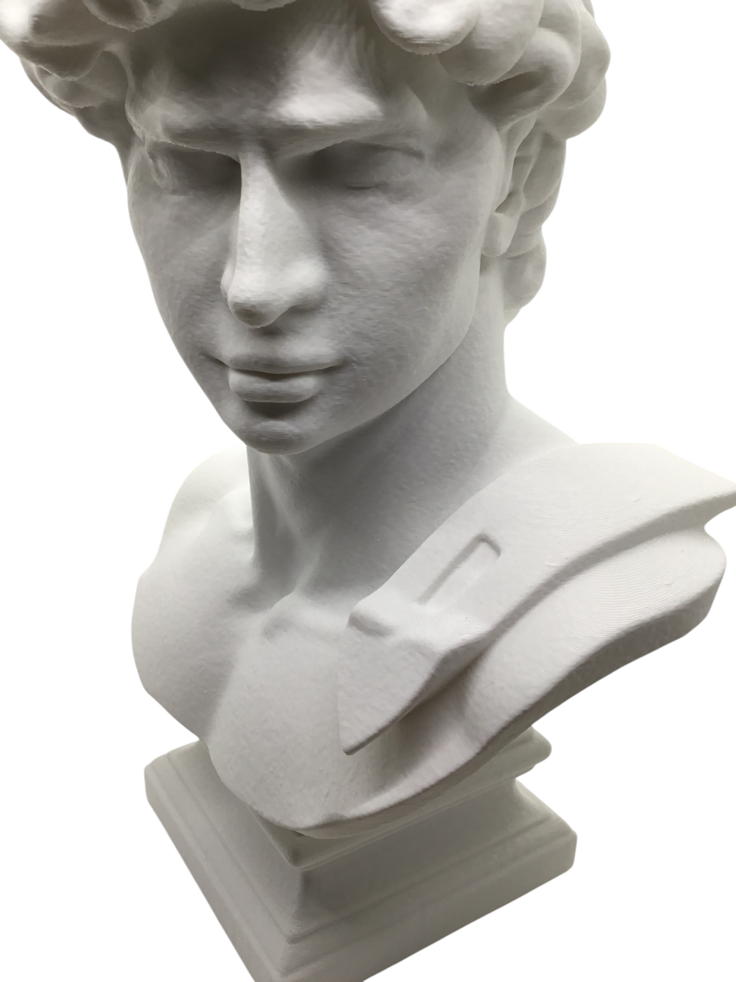 Large Michelangelo David Bust – 12” Statue – Classic Renaissance Sculpture
