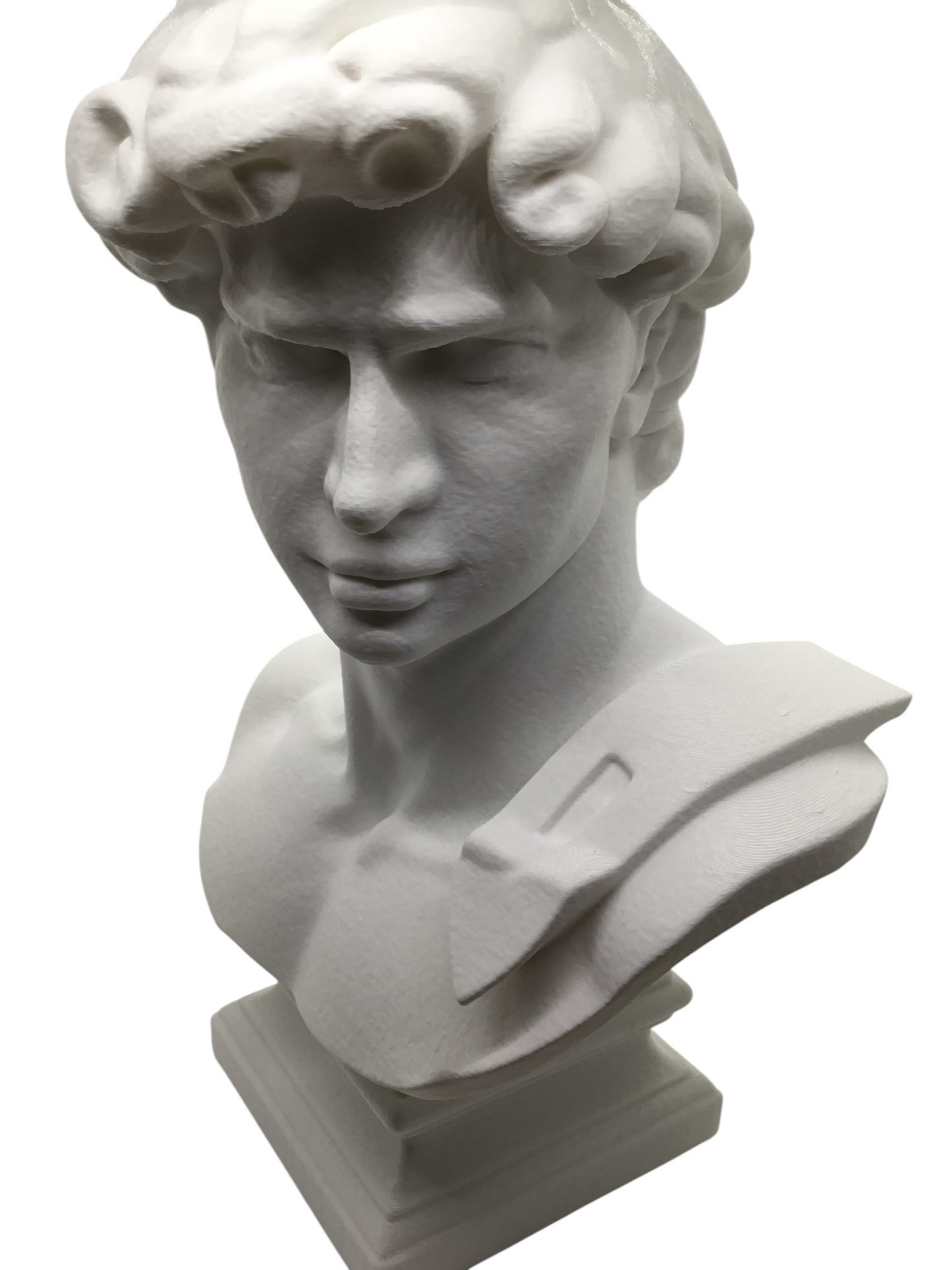 Large Michelangelo David Bust – 12” Statue – Classic Renaissance Sculpture
