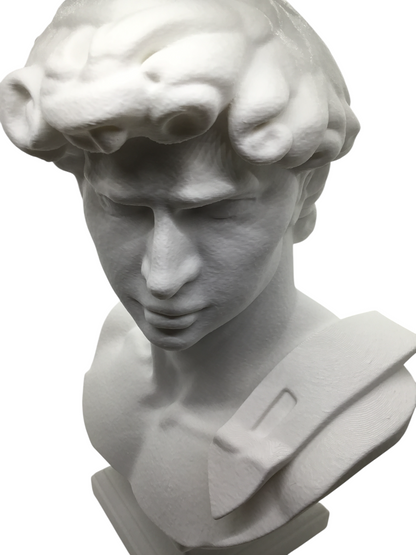 Large Michelangelo David Bust – 12” Statue – Classic Renaissance Sculpture