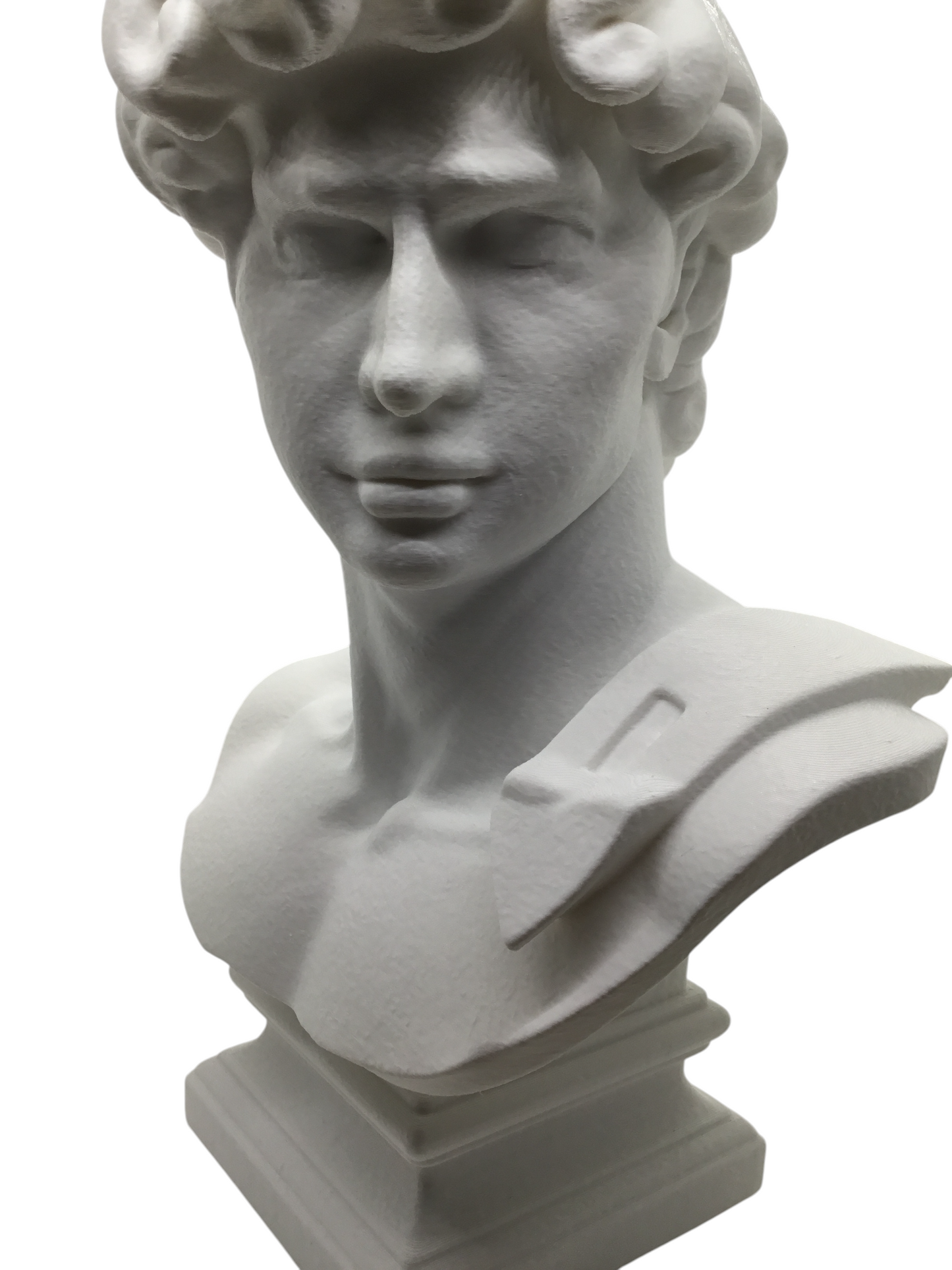 Large Michelangelo David Bust – 12” Statue – Classic Renaissance Sculpture