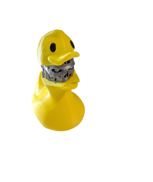 PXL_20250123_051652321.MP-Photoroom.png